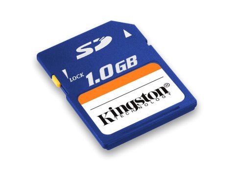 1GB Kingston SD Card